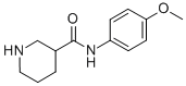 PIPERIDINE-3-CARBOXYLIC ACID (4-METHOXY-PHENYL)-AMIDE CAS#: 735262-21-2
