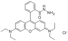 RHODAMINE B HYDRAZIDE CAS#: 74317-53-6
