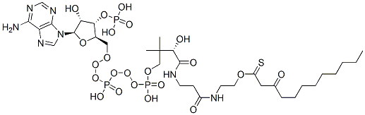 S-[2-[3-[[4-[[[(2R,3S,4R,5R)-5-(6-aminopurin-9-yl)-4-hydroxy-3-phosphonooxyoxolan-2-yl]methoxy-hydroxyphosphoryl]oxy-hydroxyphosphoryl]oxy-2-hydroxy-3,3-dimethylbutanoyl]amino]propanoylamino]ethyl] 3-oxododecanethioate CAS#: 78303-19-2
