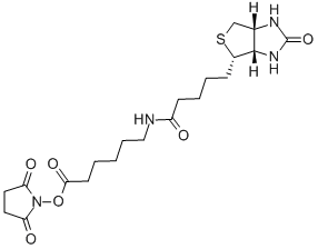 Succinimidyl 6-(biotinamido)hexanoate CAS#: 72040-63-2