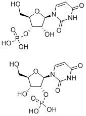 URIDYLIC ACID CAS#: 84-53-7
