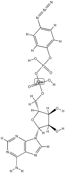 beta-(4-azidophenyl)adenosine 5'-diphosphate CAS#: 76611-59-1