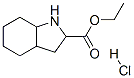 ethyl octahydro-1H-indole-2-carboxylate hydrochloride CAS#: 79799-34-1