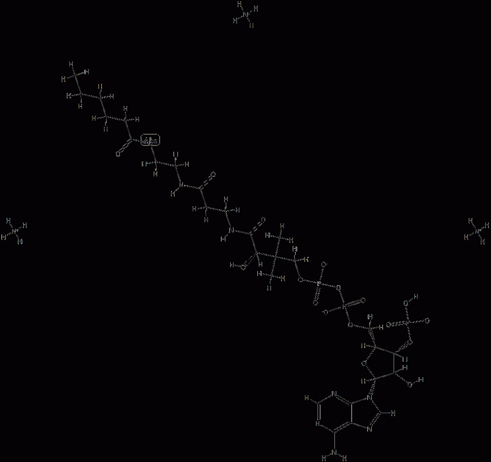 hexanoyl CoenzyMe A (aMMoniuM salt) CAS#: 799812-81-0