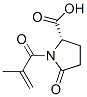 1-(2-methyl-1-oxoallyl)-5-oxo-L-proline CAS#: 80079-49-8