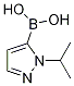 1-Isopropylpyrazole-5-boronic Acid CAS#: 839714-33-9