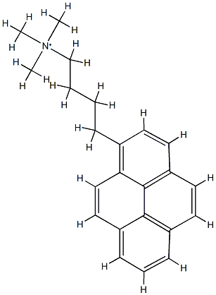 1-pyrenebutyltrimethylammonium CAS#: 81361-53-7