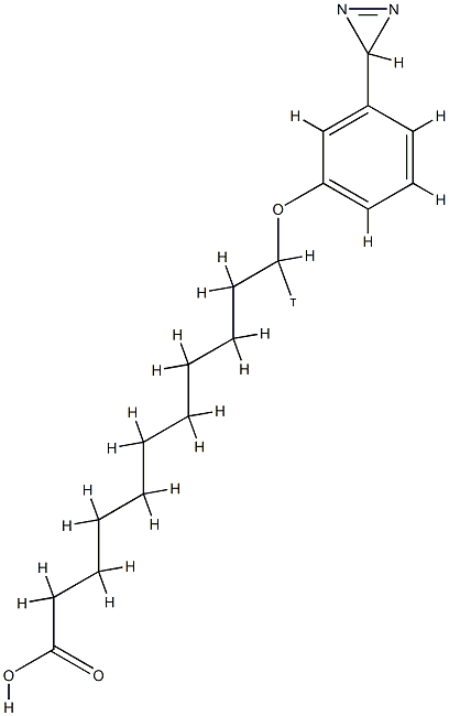 11-3-diazirinophenoxyundecanoate CAS#: 84061-77-8