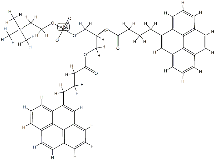 1,2-bis(4-(1-pyreno)butanoyl)-sn-glycero-3-phosphorylcholine CAS#: 80115-55-5
