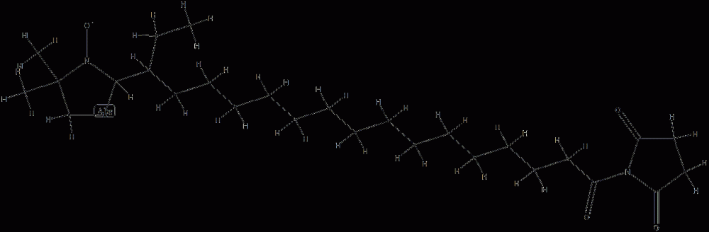 16-doxylstearoyl maleimide CAS#: 80263-69-0