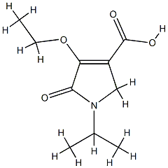 1H-Pyrrole-3-carboxylicacid,4-ethoxy-2,5-dihydro-1-(1-methylethyl)-5-oxo-(9CI) CAS#: 88767-02-6