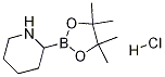 2-(4,4,5,5-tetramethyl-1,3,2-dioxaborolan-2-yl)piperidine hydrochloride CAS#: 811439-31-3