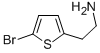 2-(5-BROMOTHIEN-2-YL)ETHANAMINE HYDROBROMIDE CAS#: 86423-64-5