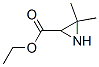 2-Aziridinecarboxylicacid,3,3-dimethyl-,ethylester(9CI) CAS#: 84024-59-9