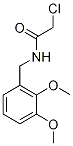 2-Chloro-N-(2,3-dimethoxybenzyl)acetamide CAS#: 80364-71-2