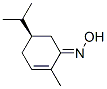 2-Cyclohexen-1-one,2-methyl-5-(1-methylethyl)-,oxime,(5R)-(9CI) CAS#: 80040-95-5