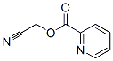 2-Pyridinecarboxylicacid,cyanomethylester(9CI) CAS#: 84555-18-0