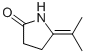 2-Pyrrolidinone,5-(1-methylethylidene)-(9CI) CAS#: 81659-63-4