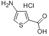 2-Thiophenecarboxylic acid, 4-amino-, hydrochloride CAS#: 89499-33-2