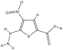 2-Thiophenecarboxylicacid,5-hydrazino-4-nitro-(7CI) CAS#: 88511-62-0