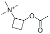 2-acetoxycyclobutyltrimethylammonium CAS#: 82588-29-2