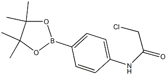 2-chloro-N-(4-(4,4,5,5-tetraMethyl-1,3,2-dioxaborolan-2-yl)phenyl)acetaMide CAS#: 825630-79-3