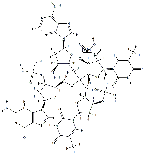 2'-deoxyadenylyl(3'-5')thymidylyl(3'-5')deoxyguanosylyl(3'-5')thymidine CAS#: 80565-17-9