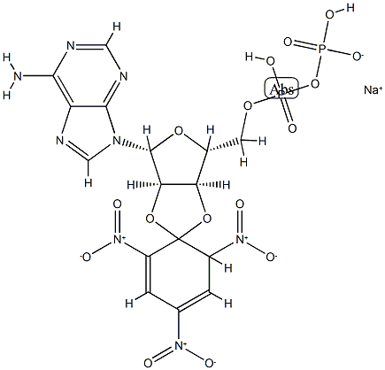 2',3'-(O-(2,4,6-trinitrocyclohexadienylidine))adenosine 5'-diphosphate CAS#: 84430-17-1