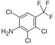2,3,6-TRICHLORO-4-TRIFLUOROMETHYL-PHENYLAMINE CAS#: 86399-04-4