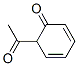 2,4-Cyclohexadien-1-one, 6-acetyl- (9CI) CAS#: 80753-89-5