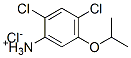 2,4-dichloro-5-isopropoxyanilinium chloride CAS#: 85554-76-3