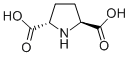 2,5-Pyrrolidinedicarboxylicacid,(2S,5S)-(9CI) CAS#: 81702-31-0