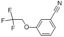 3-(2,2,2-trifluoroethoxy)benzonitrile CAS#: 84328-66-5