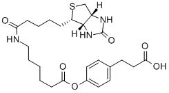 3-(4-(N-Biotinoyl-6-aminocaproyloxy)phenyl)propionic acid CAS#: 83592-10-3