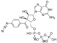 3'-(4-azidobenzoyl)guanosine triphosphate CAS#: 84433-07-8