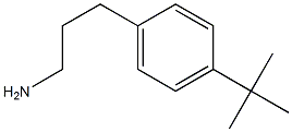 3-(4-(tert-butyl)phenyl)propan-1-aMine CAS#: 800395-53-3