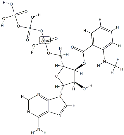 3'-O-(N-methylanthraniloyl) ATP CAS#: 85287-56-5