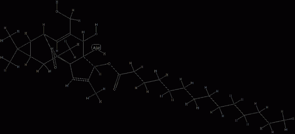 3-O-tetradecanoylingenol CAS#: 83036-83-3