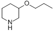 3-PROPOXY-PIPERIDINE CAS#: 89122-72-5