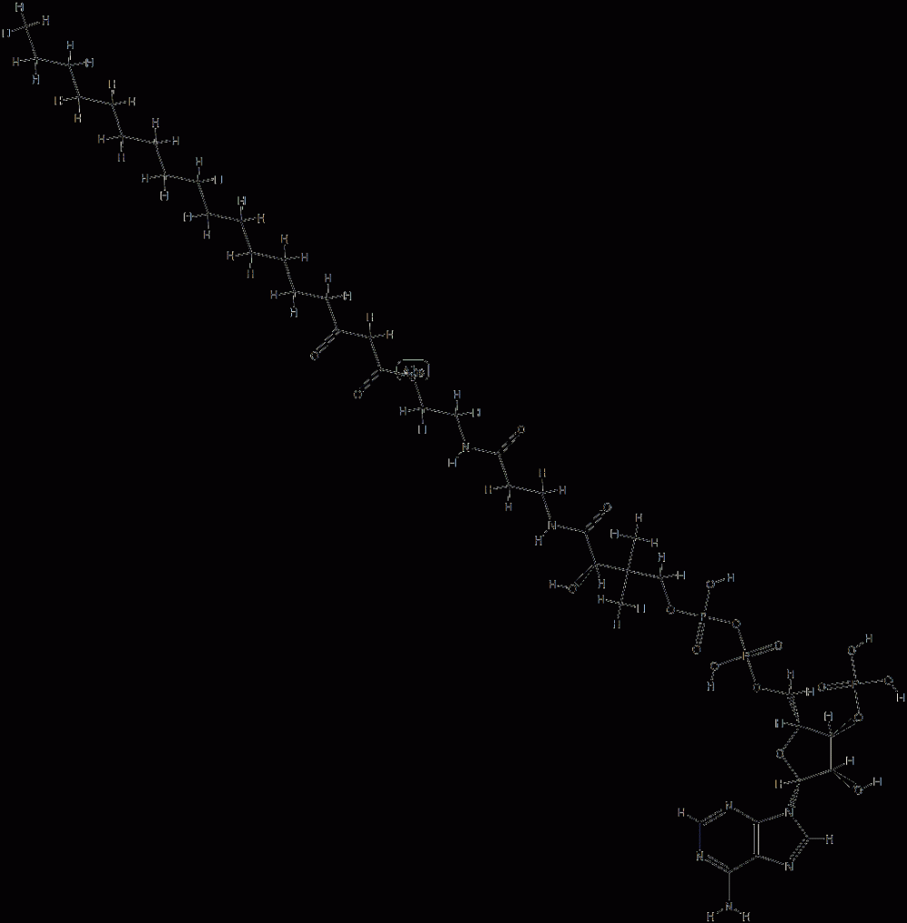 3-ketostearoyl-coenzyme A CAS#: 86370-20-9