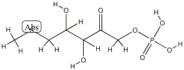(3,4-dihydroxy-5-methylsulfanyl-2-oxo-pentoxy)phosphonic acid CAS#: 86316-83-8