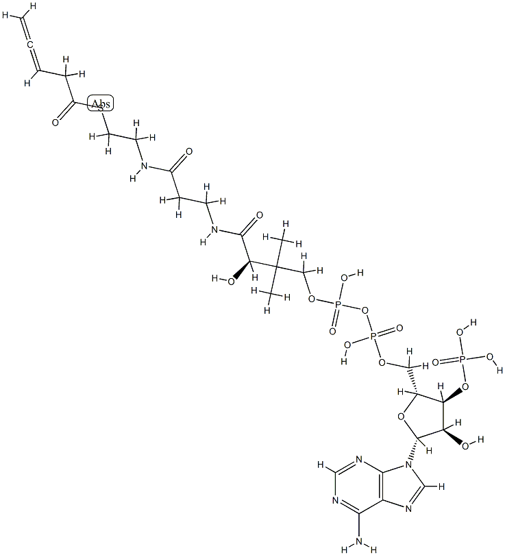 3,4-pentadienoyl-coenzyme A CAS#: 84061-72-3