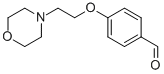 4-(2-MORPHOLIN-4-YL-ETHOXY)-BENZALDEHYDE CAS#: 82625-45-4
