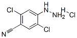 4-Cyano-2,5-dichlorophenylhydrazine hydrochloride CAS#: 85634-72-6