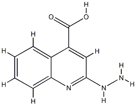 4-Quinolinecarboxylicacid,2-hydrazino-(9CI) CAS#: 89267-29-8