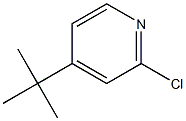 4-tert-butyl-2-chloropyridine CAS#: 81167-60-4