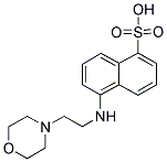 5-(2-MORPHOLIN-4-YL-ETHYLAMINO)-NAPHTHALENE-1-SULFONIC ACID CAS#: 824413-73-2