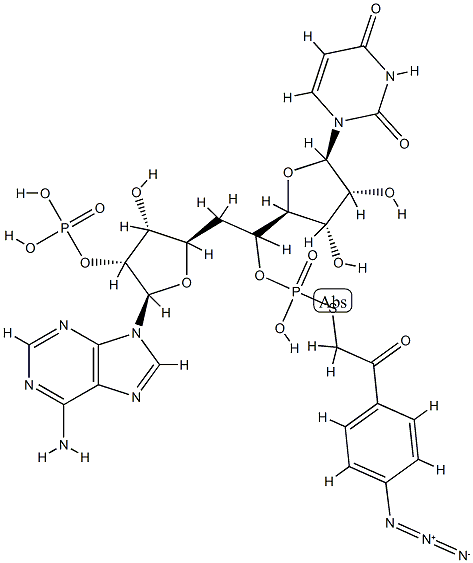 5'-(((4-azidophenacyl)thio)phosphoryl)adenylyl(3'-5')uridine CAS#: 85977-19-1