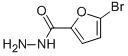 5-BROMO-2-FUROIC ACID HYDRAZIDE CAS#: 89282-37-1