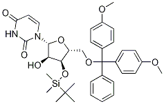 5'-O-(4,4'-DiMethoxytrityl)-3'-O-t-butyldiMethylsilyl uridine CAS#: 81246-81-3